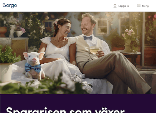 Skärmbild Borgo sparkonton hemsida