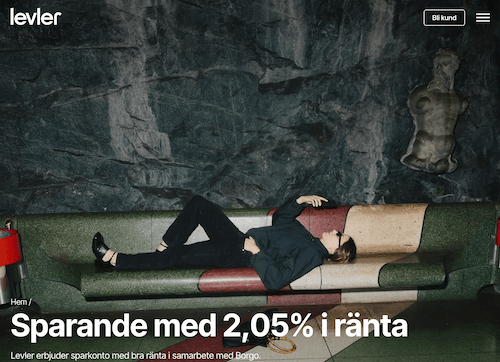 Skärmbild Levler sparkonton hemsida